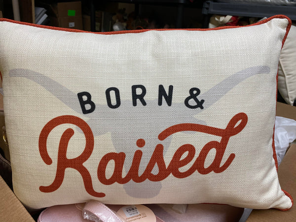 Collegiate Pillows