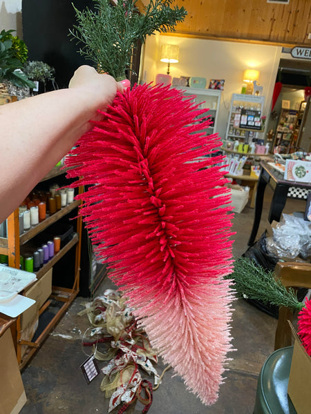 Hanging Pink Carrots