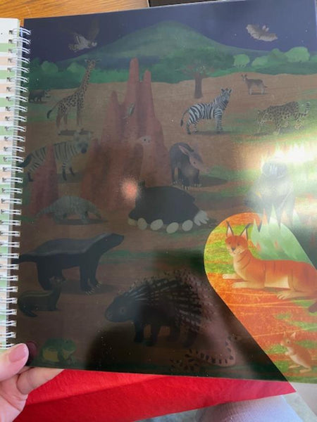 Flashlight Explorers Books