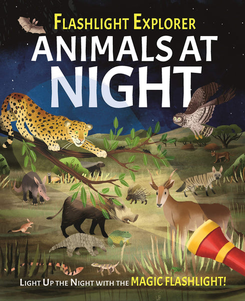 Flashlight Explorers Books