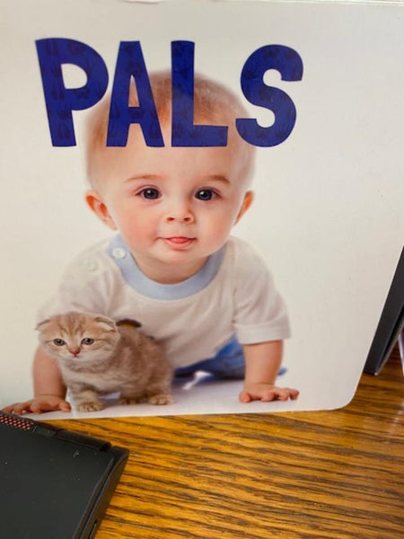 Board Books for Kids