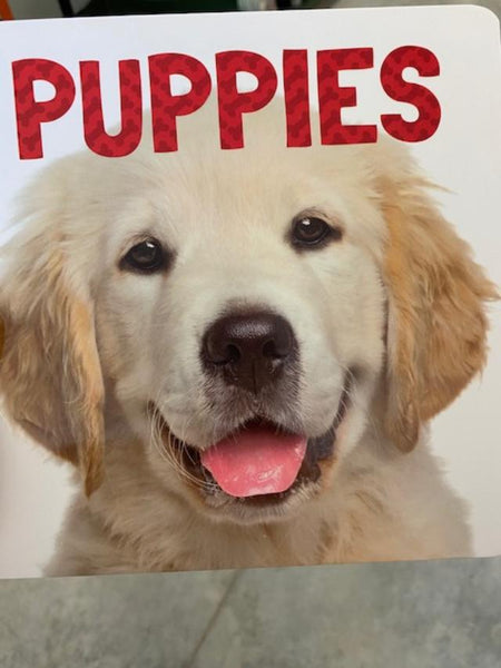 Board Books for Kids