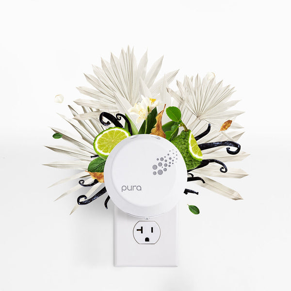 Volcano Pura Smart Home Diffuser Kit by Capri Blue