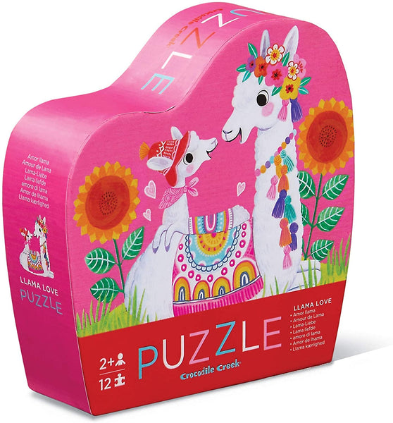 12-pc Puzzles