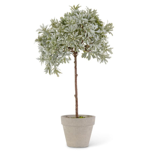 Potted Herb Topiary