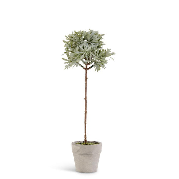 Potted Herb Topiary