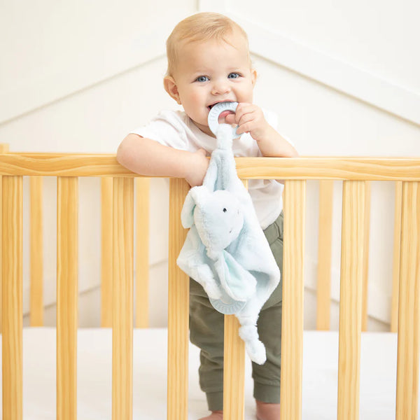 Dog Teether Buddy
